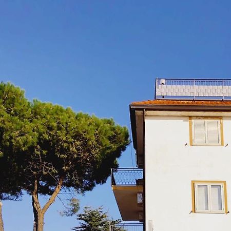 Domus Cedri Apartment Santa Maria Del Cedro Dış mekan fotoğraf