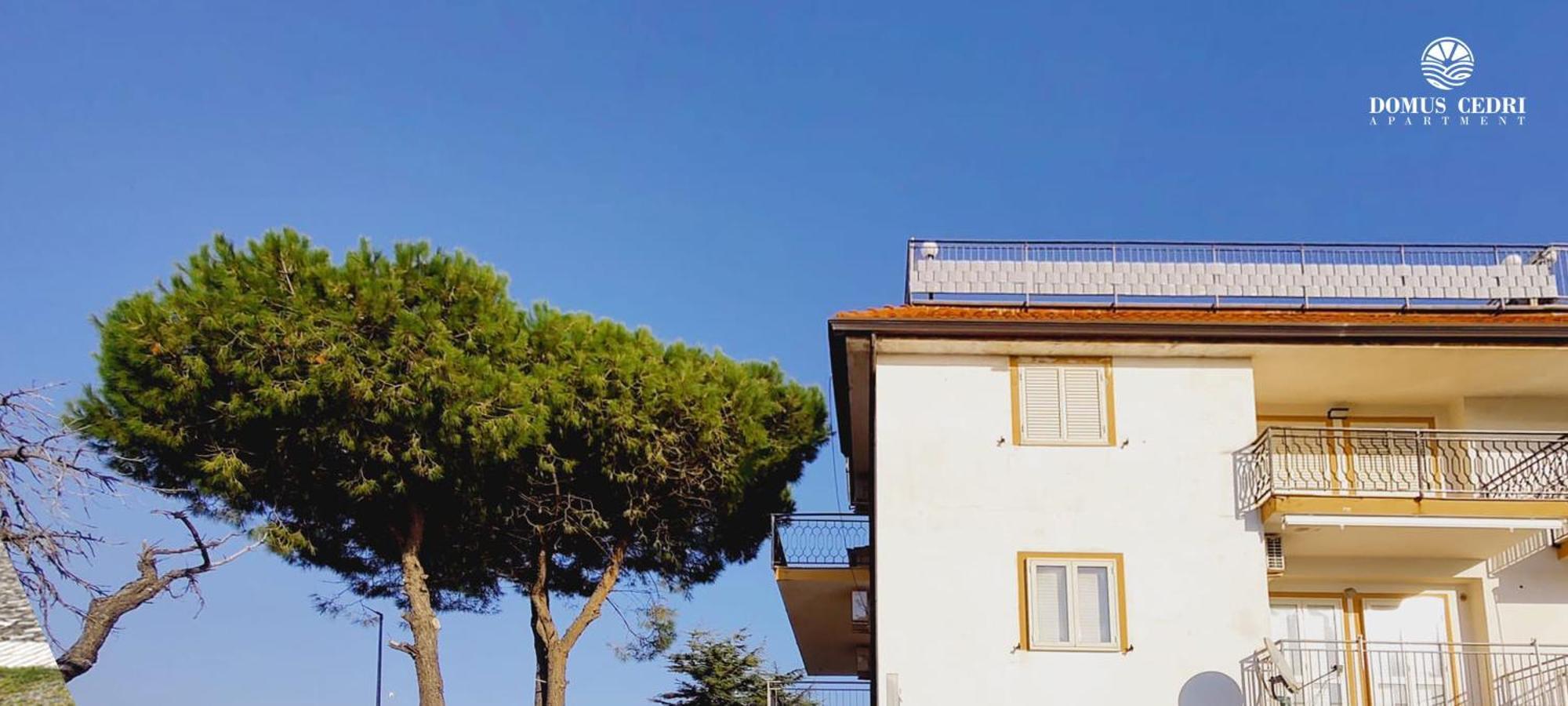 Domus Cedri Apartment Santa Maria Del Cedro Dış mekan fotoğraf